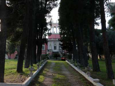 Negli anni 50 per� qui non c�era nulla: le poche palazzine popolari erano inserite in un contesto fatto di campagna, piccole masserie e la solitaria grande villa Costantino che si trova ancora oggi su via Camilla Rosalba 